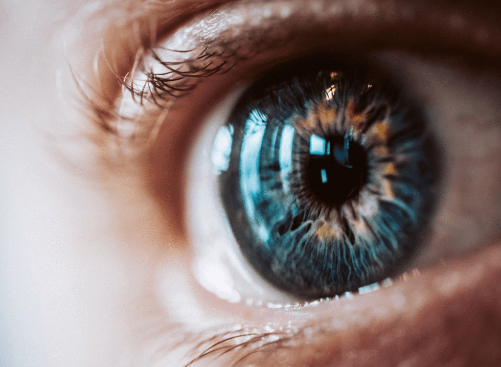 Our Vision - ARIS Digital Solutions